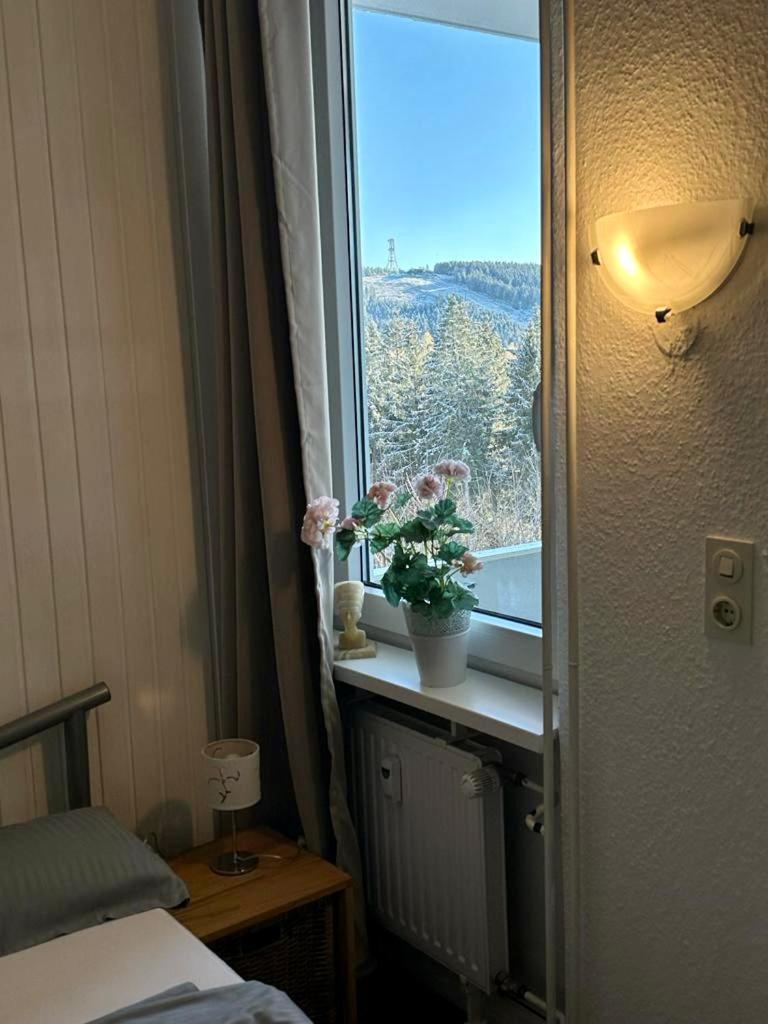 App 507 Bocksbergblick Im Ferienpark Hahnenklee Haus 1 Гослар Екстериор снимка