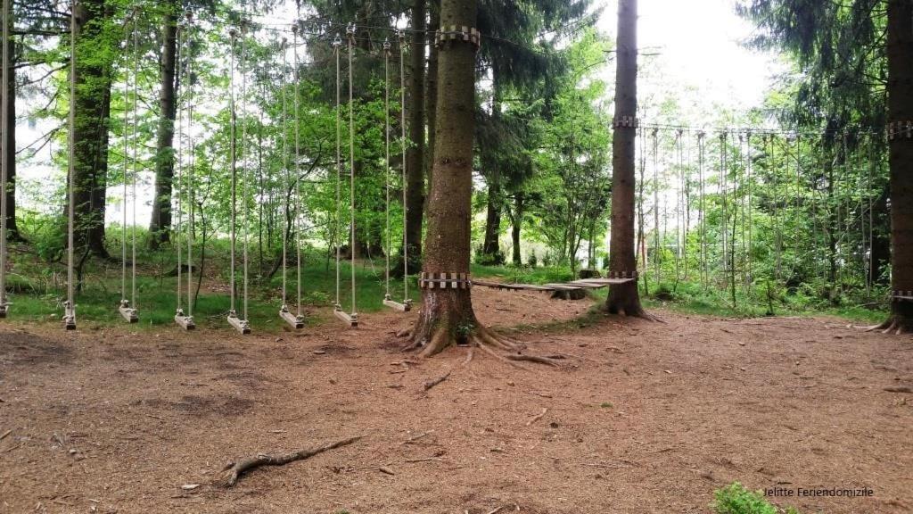 App 507 Bocksbergblick Im Ferienpark Hahnenklee Haus 1 Гослар Екстериор снимка